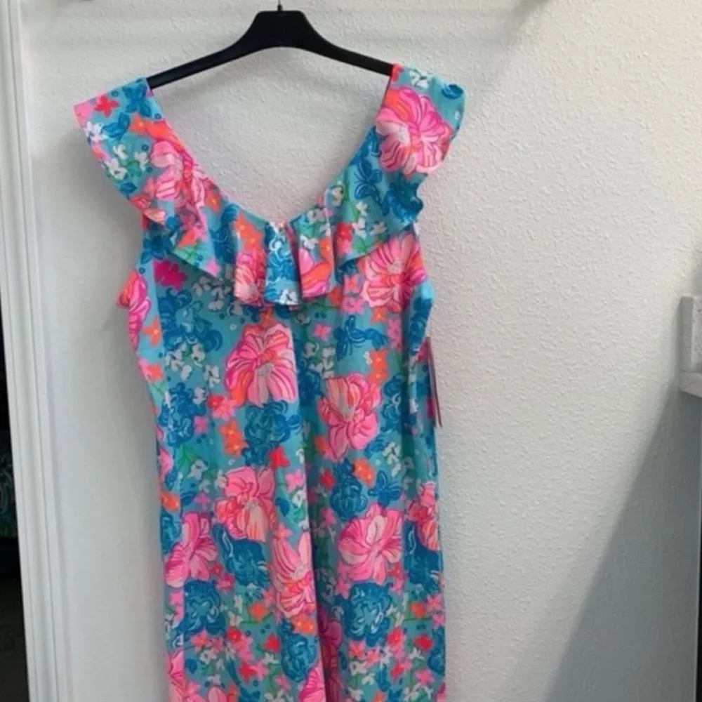 Lilly Pulitzer Alessa Swing Dress - Picture 6 of 6